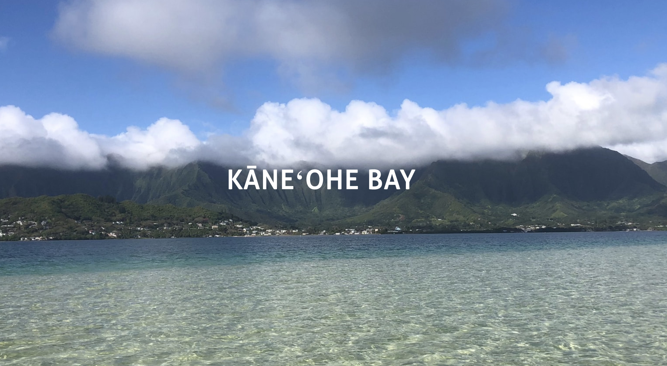 Image linking to an online report called An Introduction to Kāneʻohe Bay by Briana Awa.