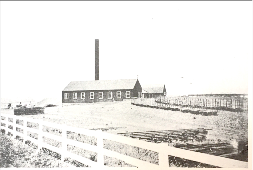 Libby Cannery 1