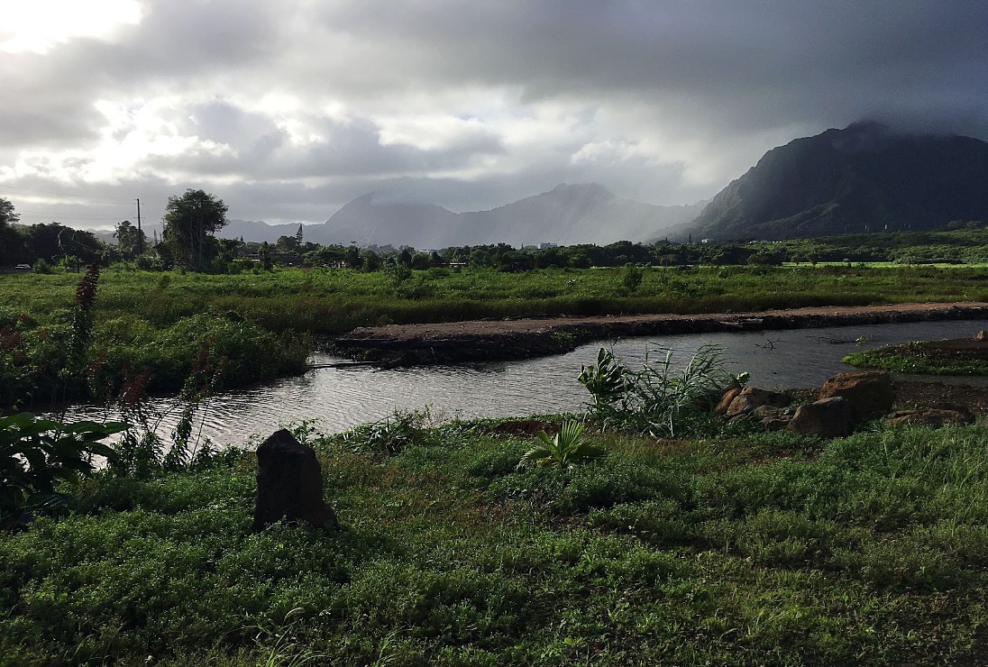 Photo of the Koʻolau Mountains. Photo by Melissa Mau.
