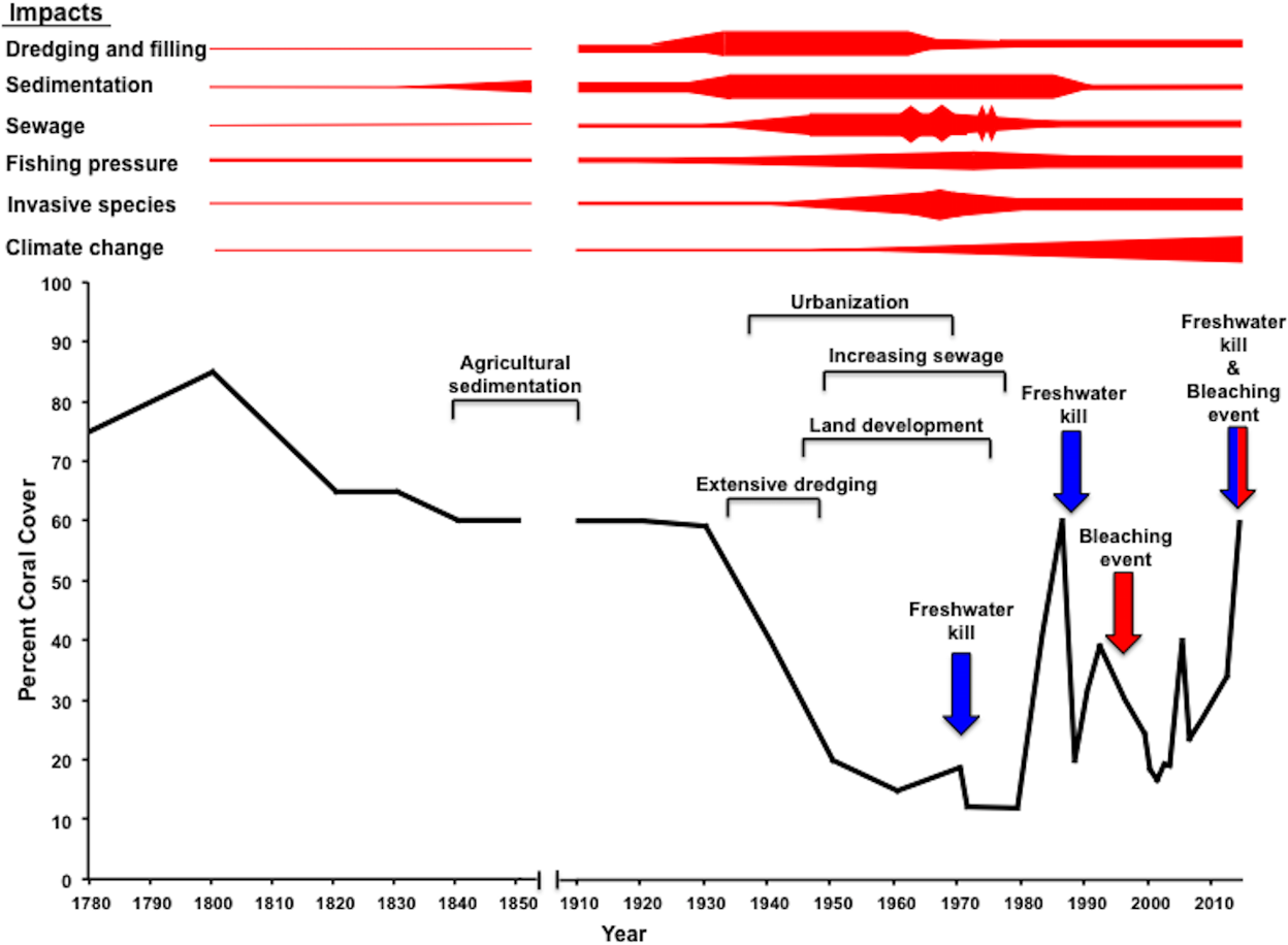 Graph showing reef response to major impacts