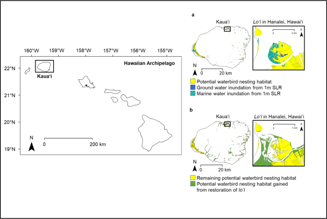 waterbird-habitat-map