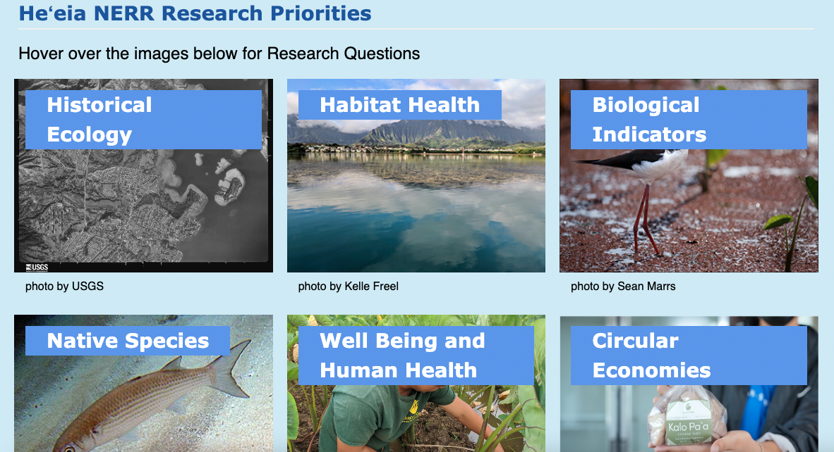 A thumbnail image that links to Reserve priorities