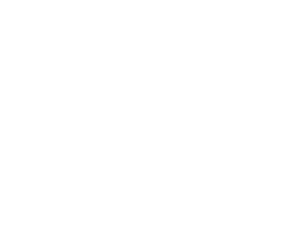 Sea turtle icon